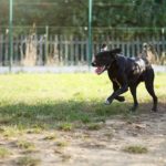 91DSC_0850