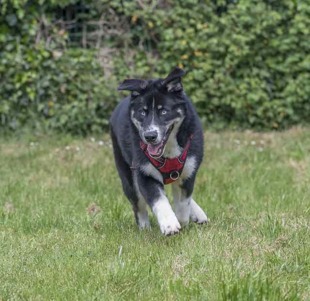 DSC_8922