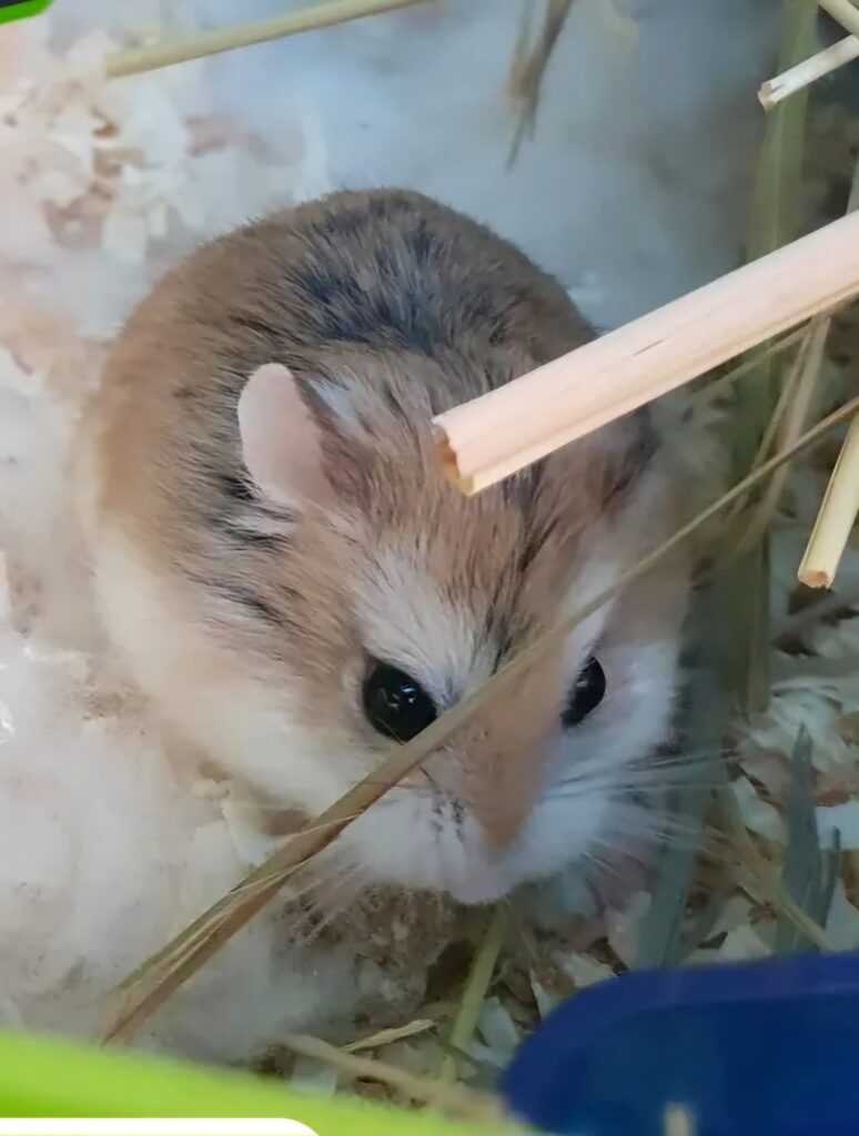 Screenshot_20251011_142204_Instagram