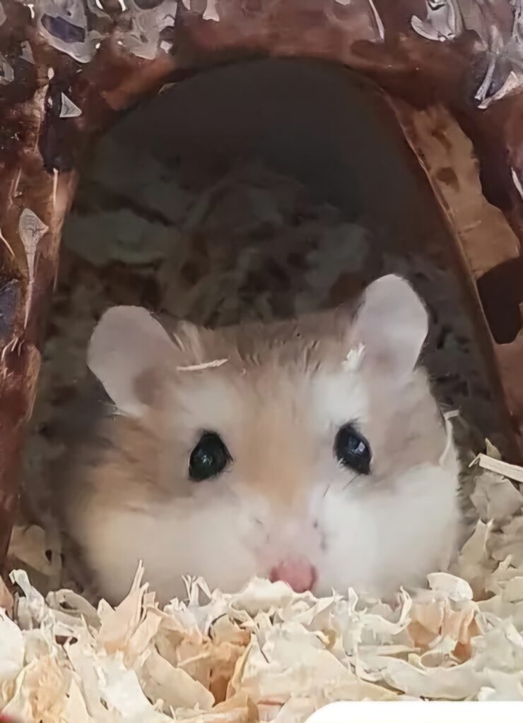 Screenshot_20251011_142209_Instagram