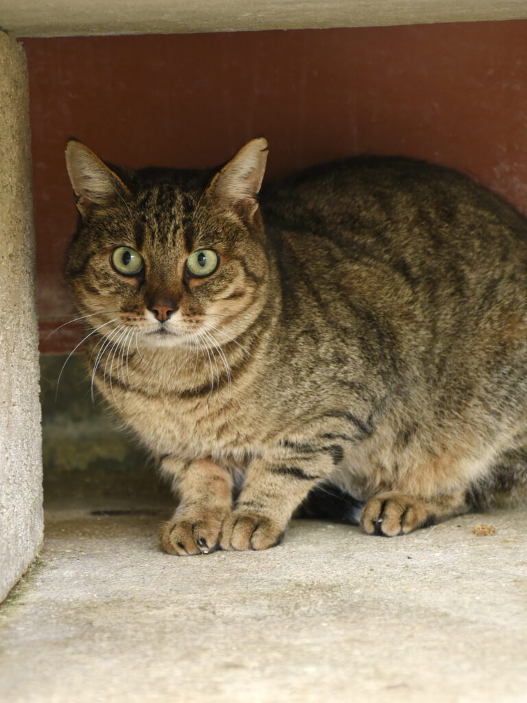 Counchita-Phoenix-05