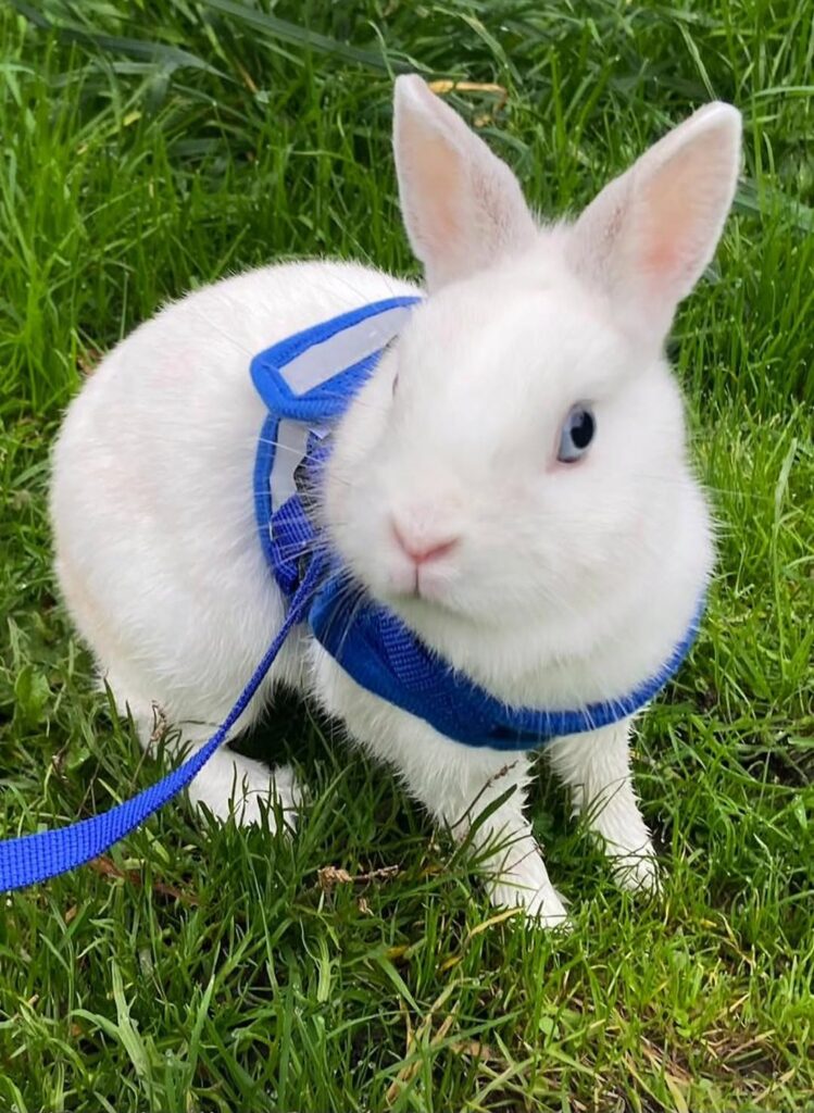 Screenshot_20251116_142213_Instagram