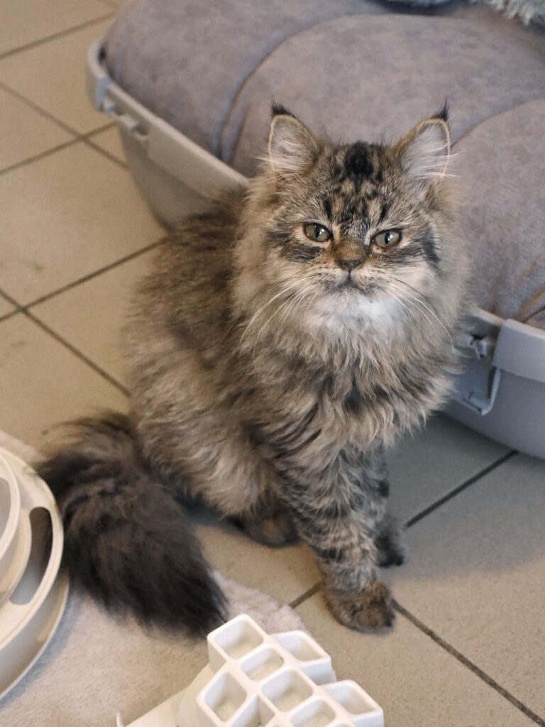 Mister Bean-Poufsouffle-05