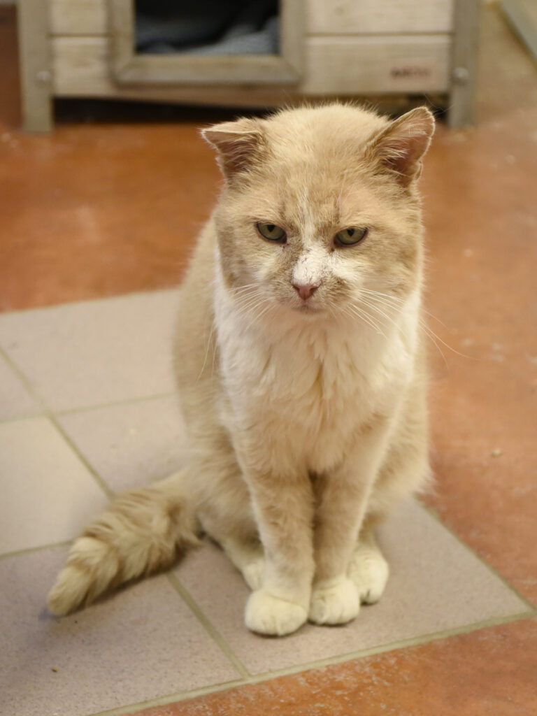 Sun-POUDLARD-13 copie