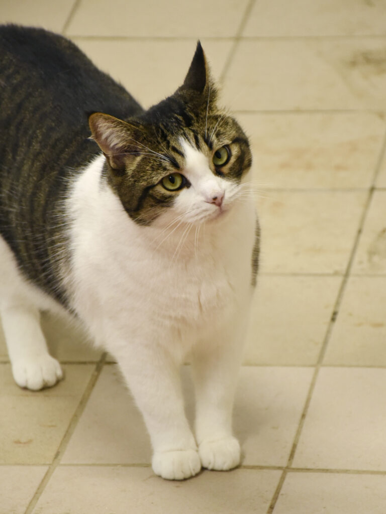 Sydney-Poudlard-03 copie