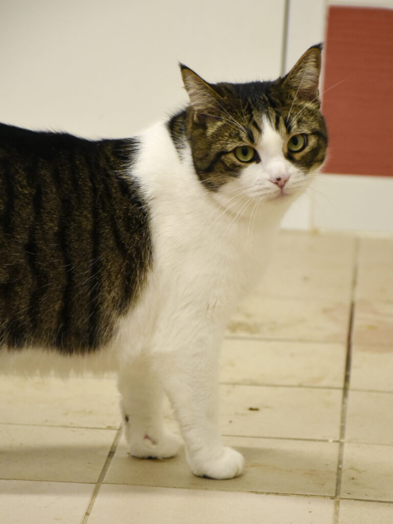 Sydney-Poudlard-04 copie