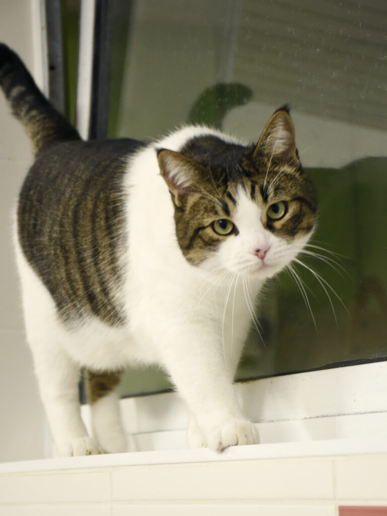 Sydney-Poudlard-06 copie