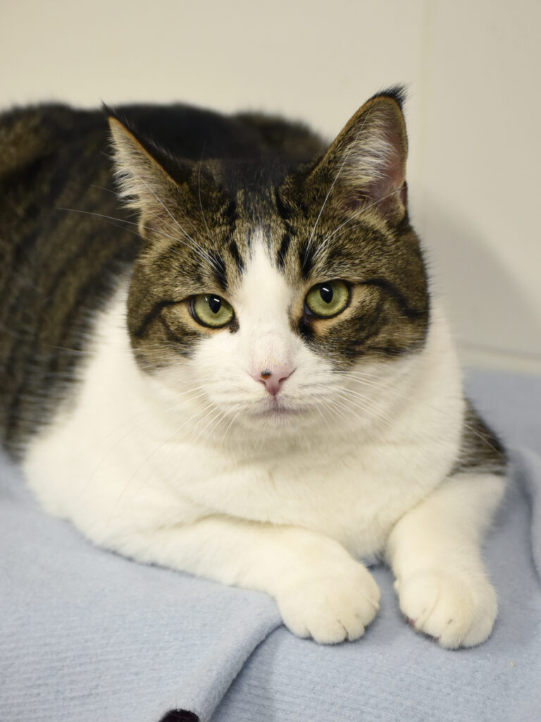 Sydney-Poudlard-10 copie