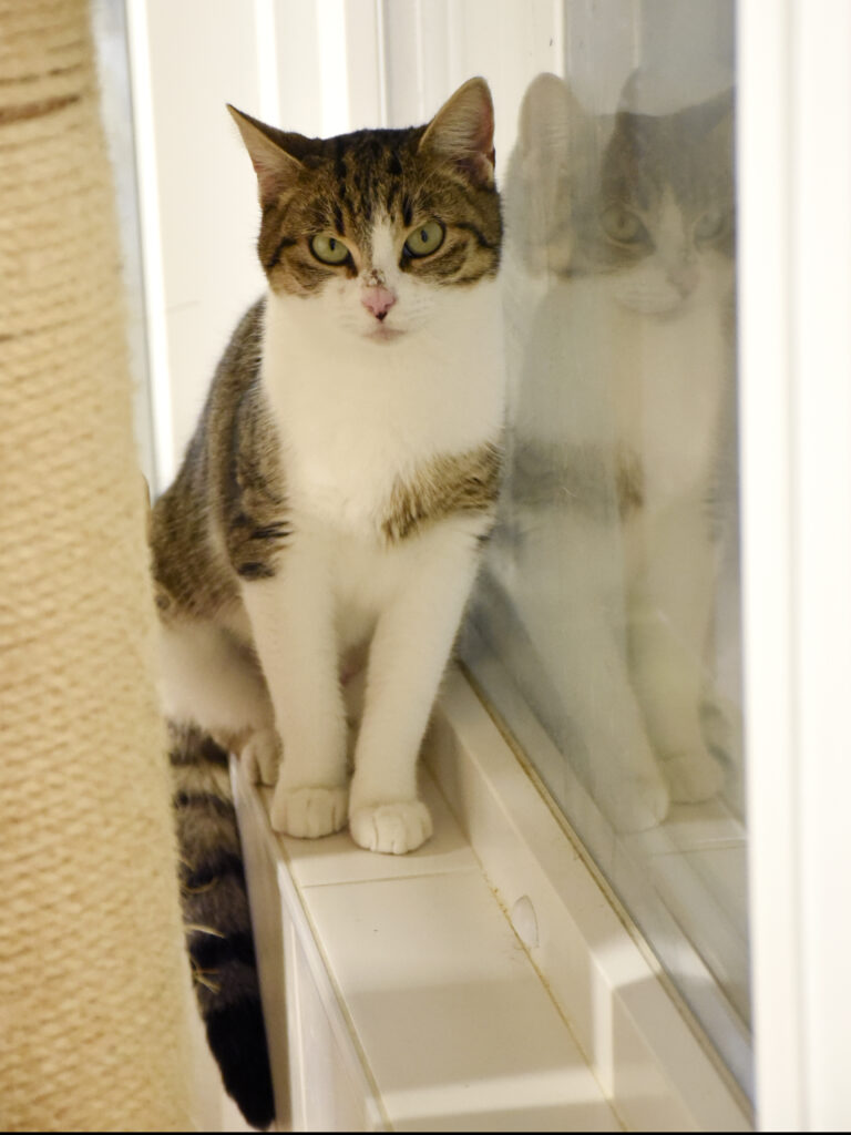 Yvette-Phoenix-03 copie