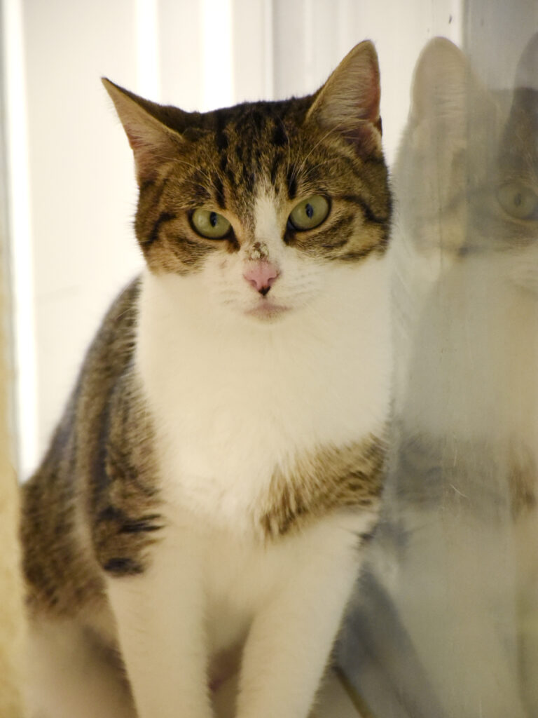 Yvette-Phoenix-04 copie