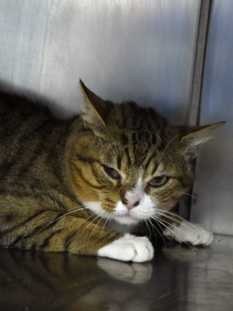 Cache-Cache-Leviosa-03