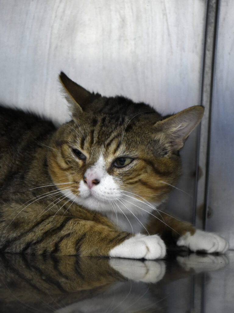 Cache-Cache-Leviosa-04