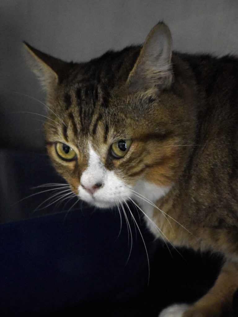 Cache-Cache-Leviosa-05