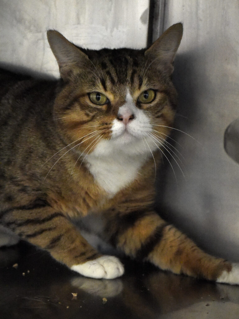 Cache-Cache-Leviosa-06