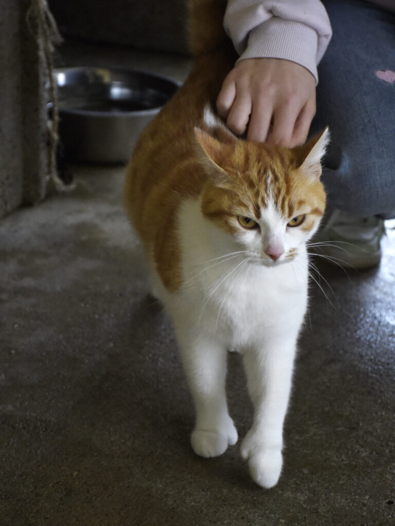 Blanche_Pattenrond_05