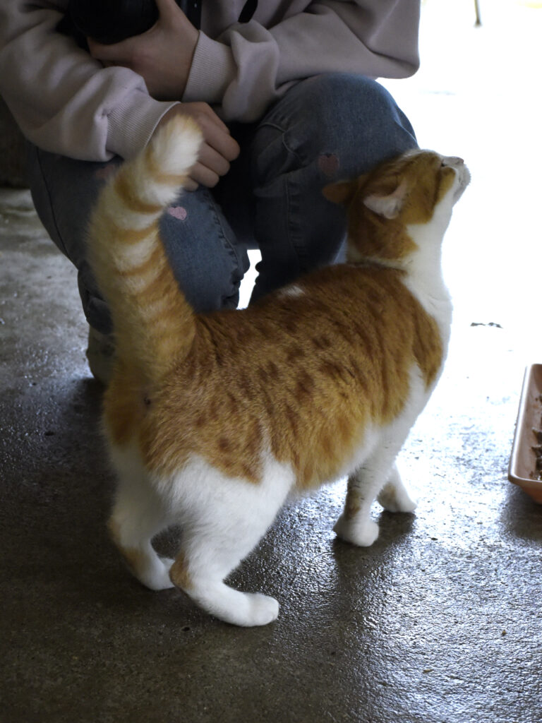 Blanche_Pattenrond_06