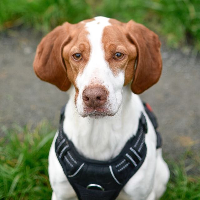 _DSC0707 (1) (modifié)