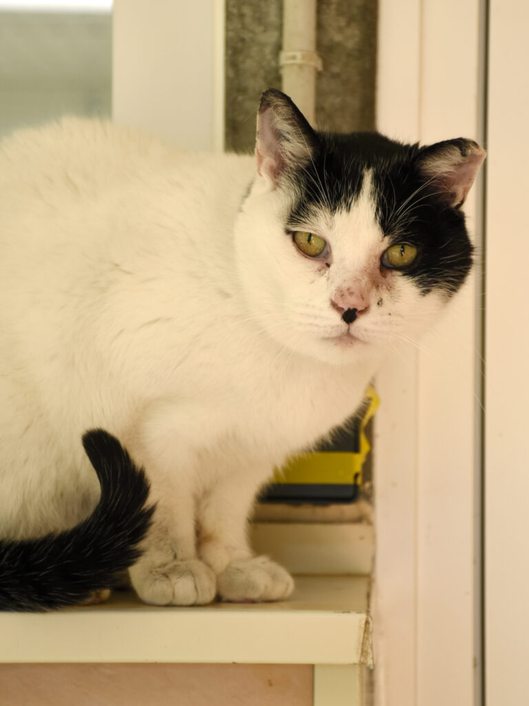 Happyness-Phoenix-05