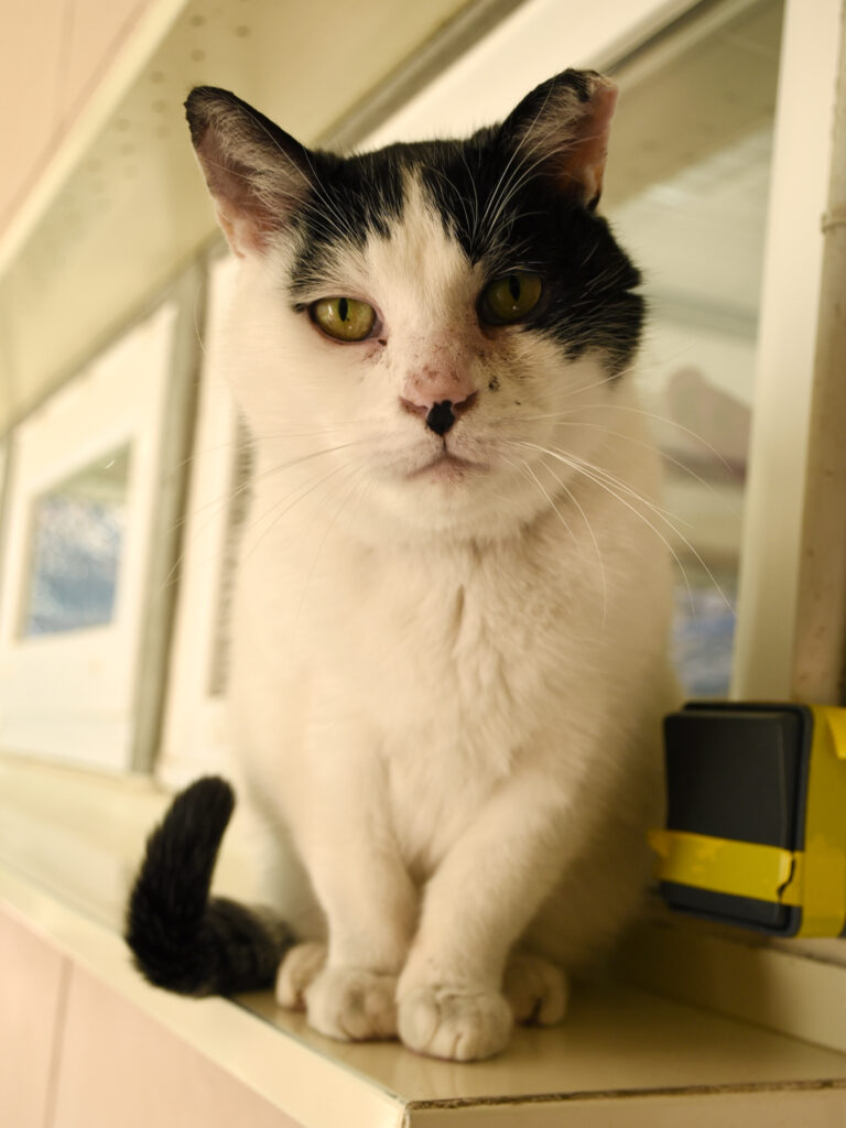 Happyness-Phoenix-08