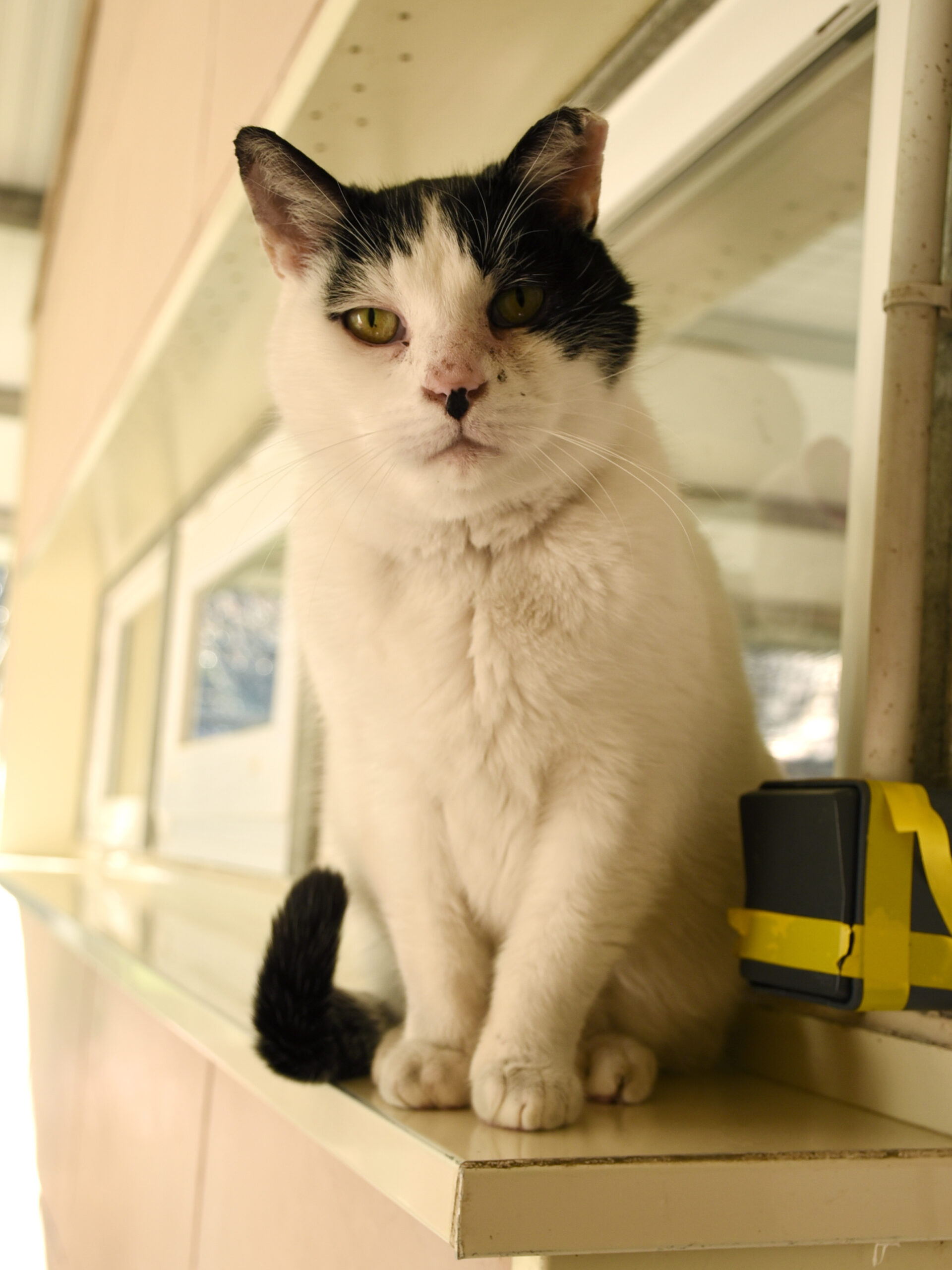 Happyness-Phoenix-09