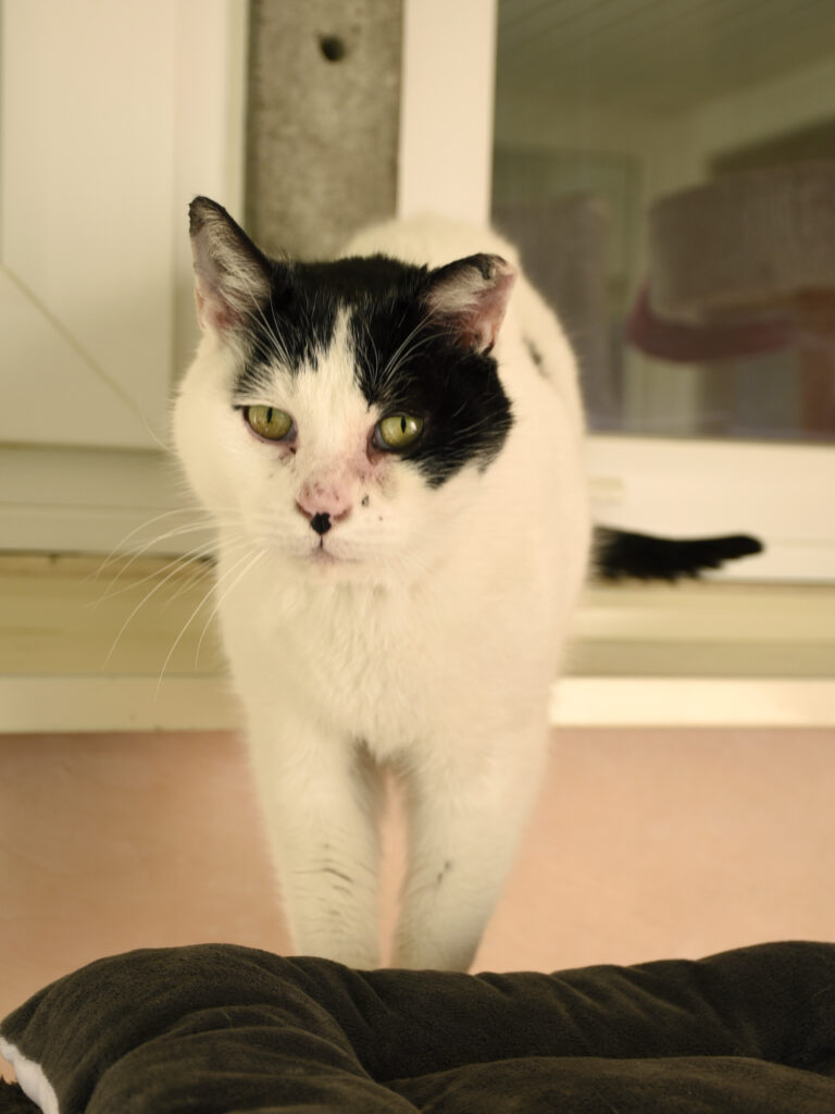 Happyness-Phoenix-10