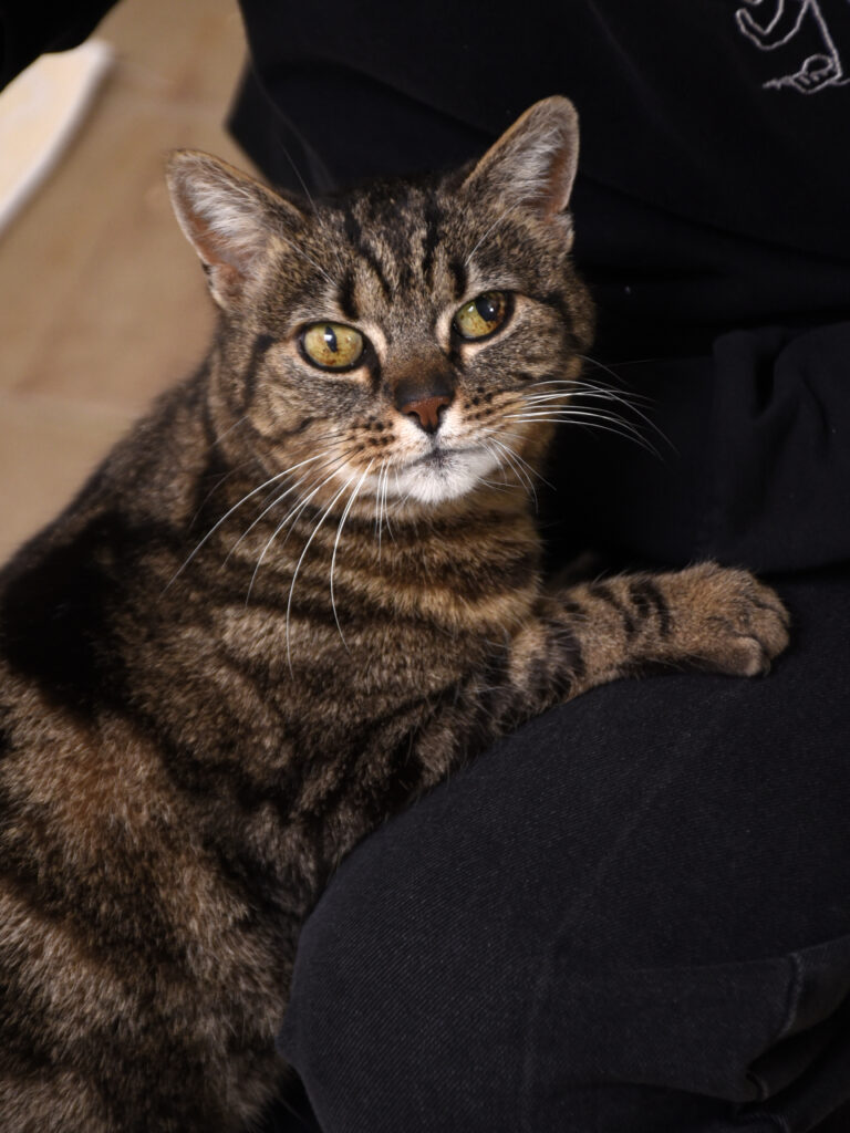 Lady Olenna_Pattenrond_03