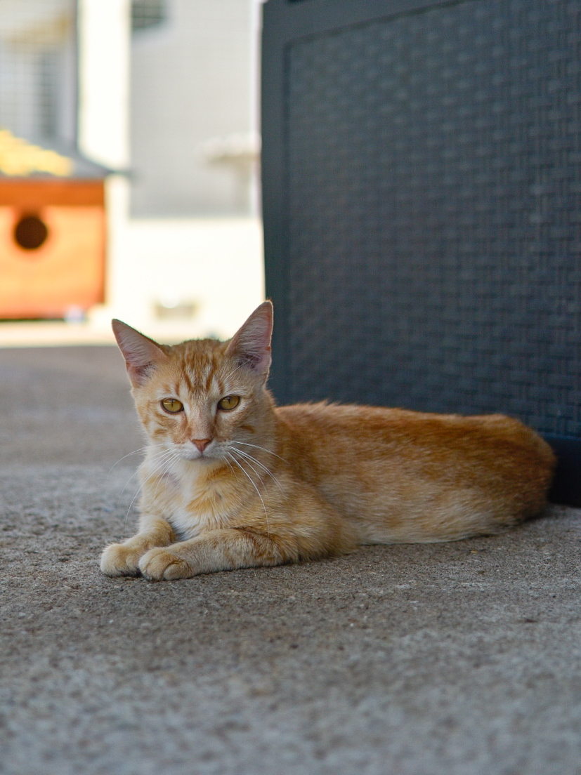 Docki – Image 3