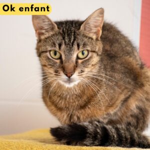 Kala