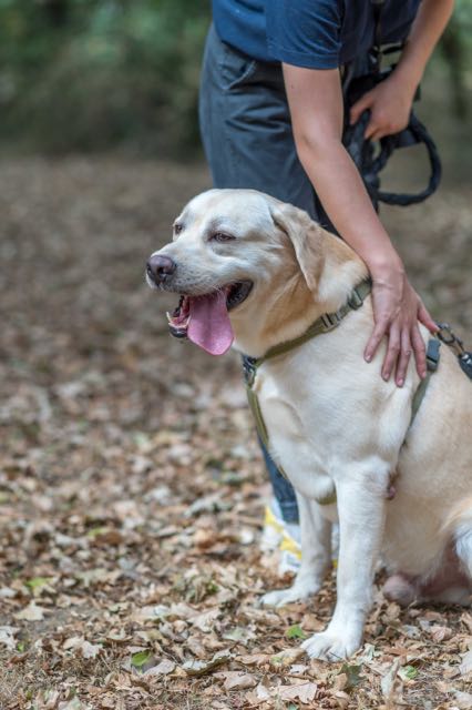 Ted – Image 2
