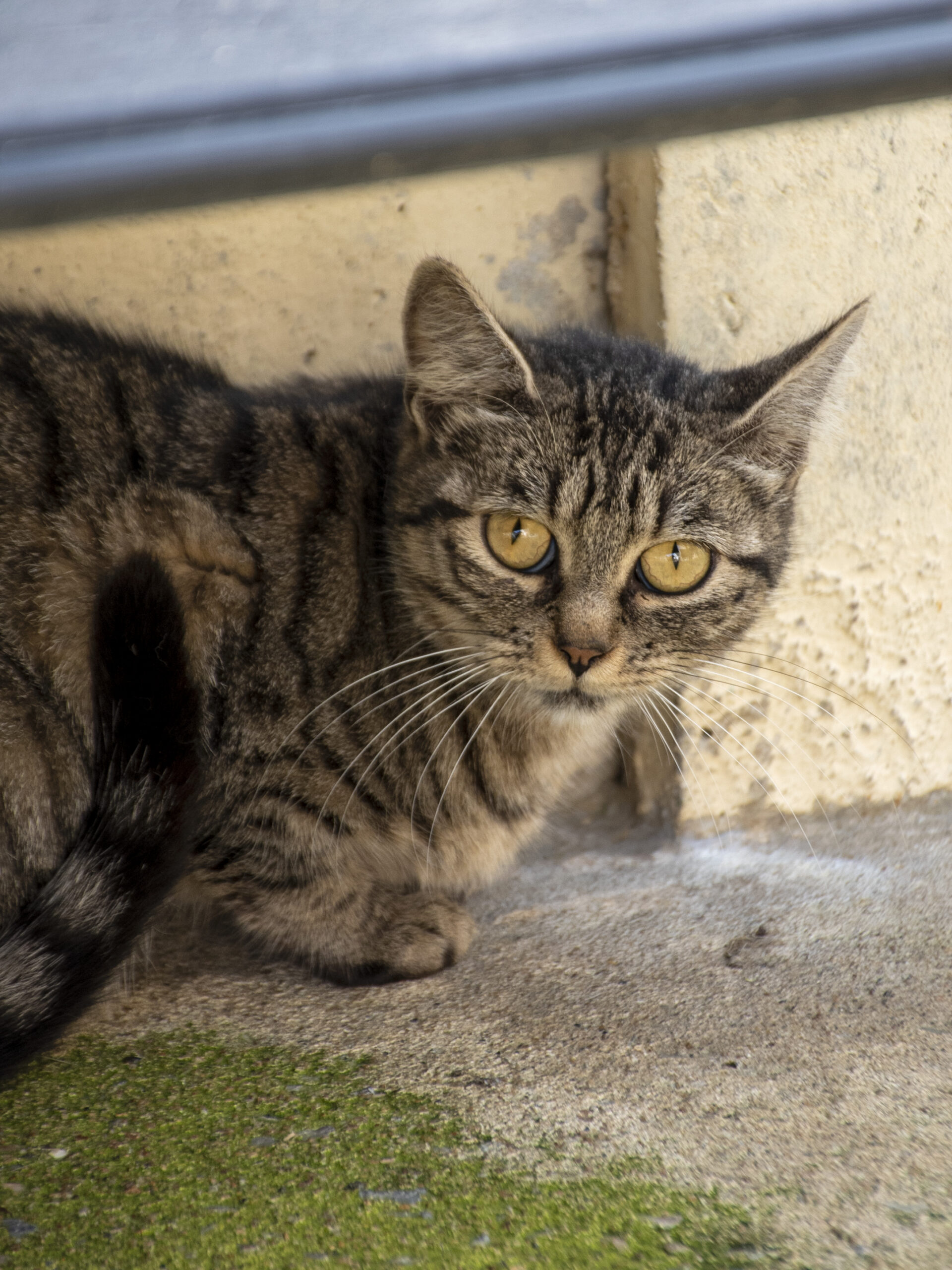 Marmara – Image 3