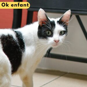 Amazone